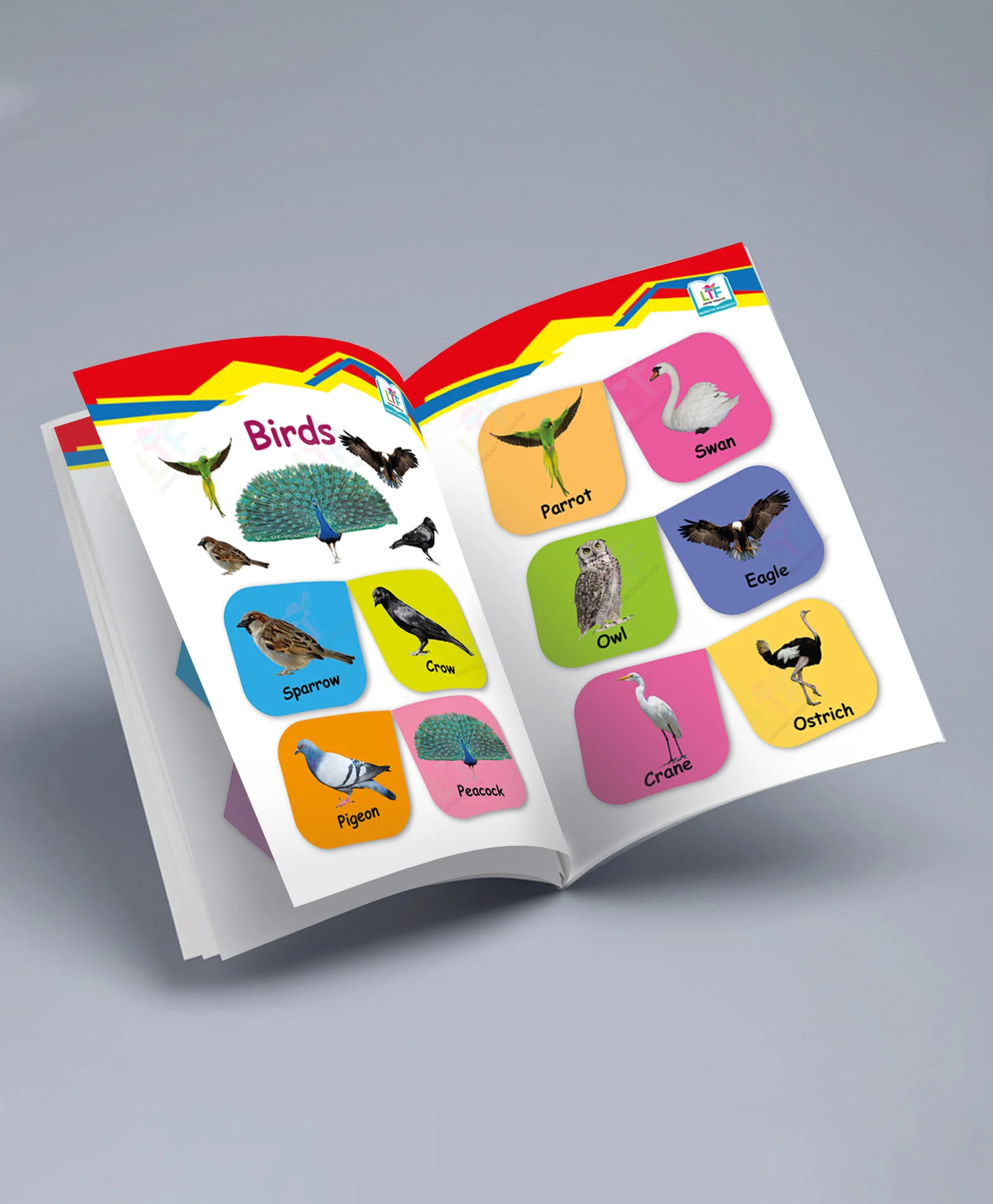 Learning Through Fun: My First Infant Book – Early Learning Picture Book with Alphabets, Numbers , Shapes, Colors, Transports,Animal & Educational Worksheets | For Homeschooling, Kids 1–2 Years